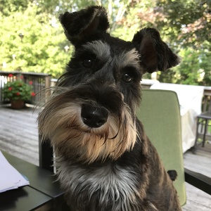 Fundraising Page: Claudia Weiderman